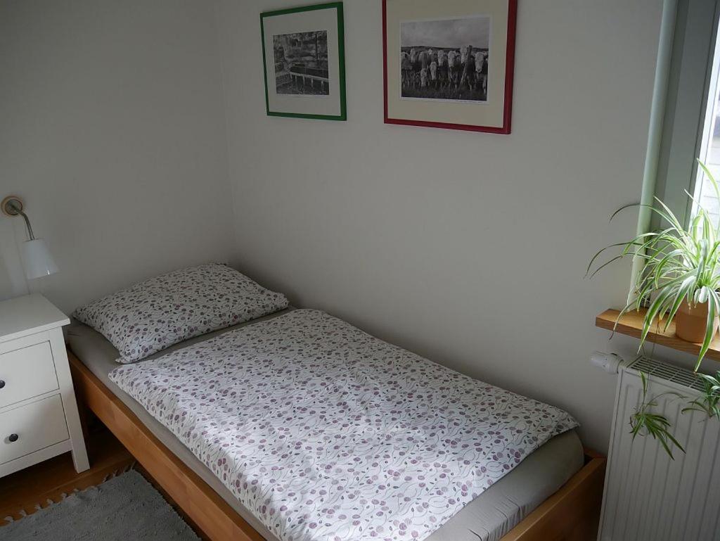 Irreler Muehle Ferienwohnungen Und Ferienhaeuser Esterno foto