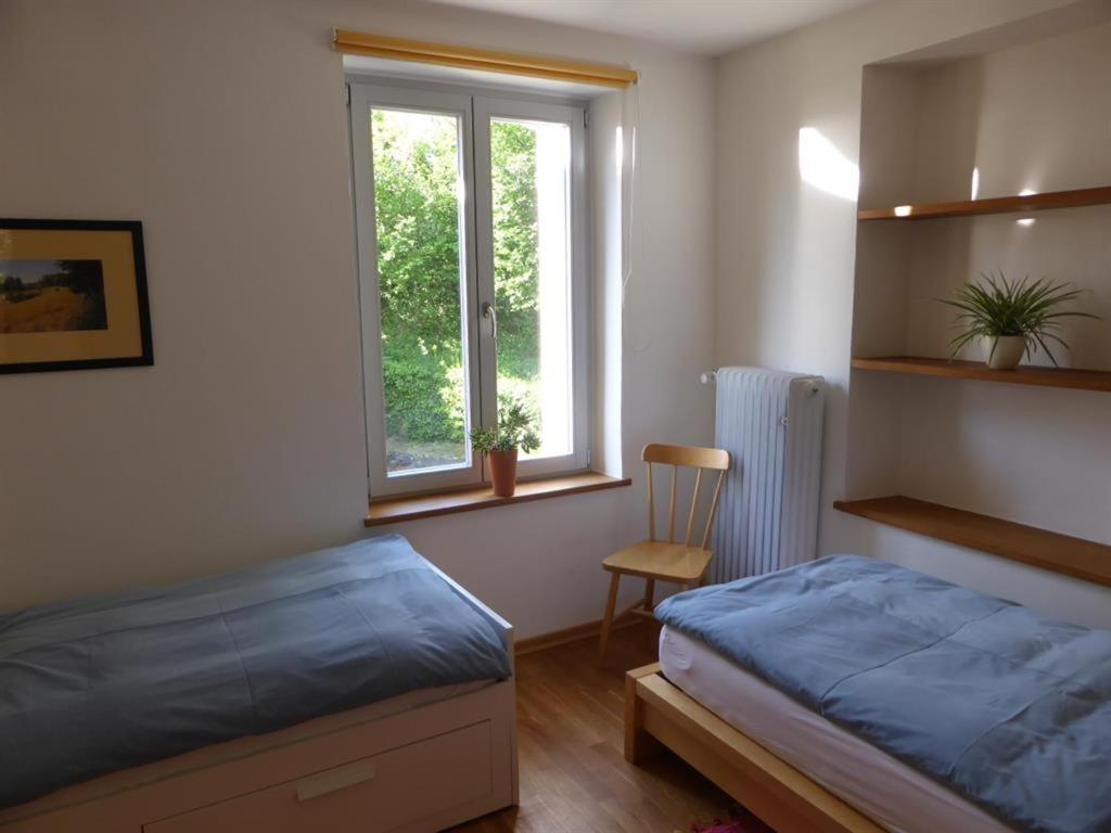 Irreler Muehle Ferienwohnungen Und Ferienhaeuser Esterno foto